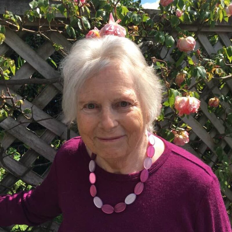 Anne Perry